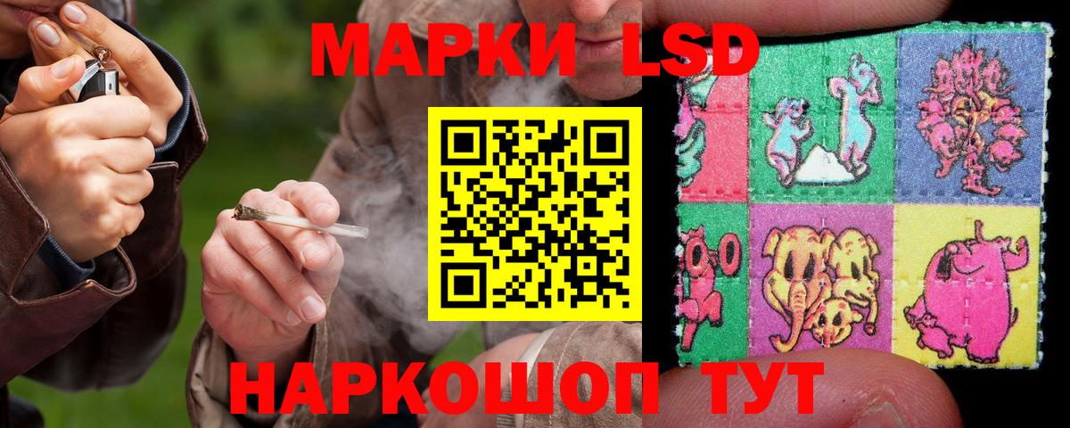 A PVP Сафоново