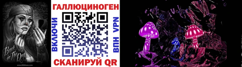 Галлюциногенные грибы Psilocybine cubensis даркнет какой сайт Сафоново закладка