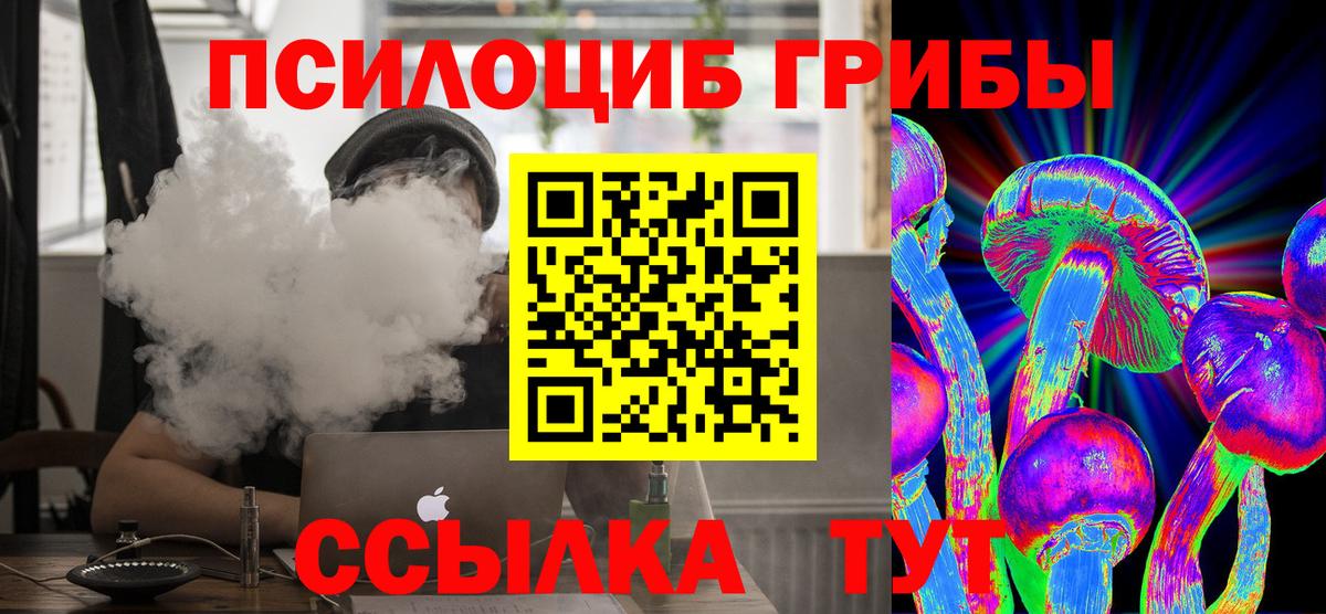 Галлюциногенные грибы Cubensis Сафоново